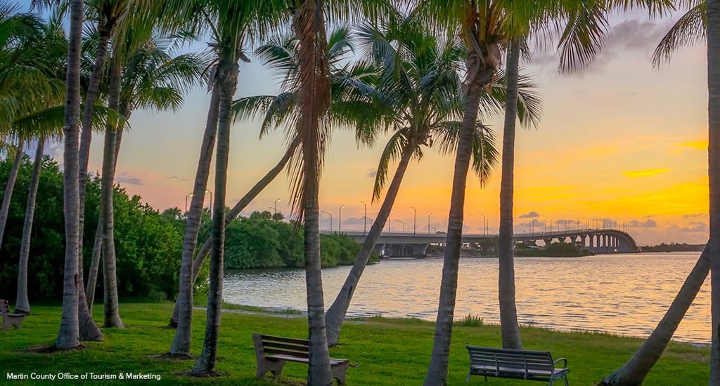 coconut trees at causeway in stuart