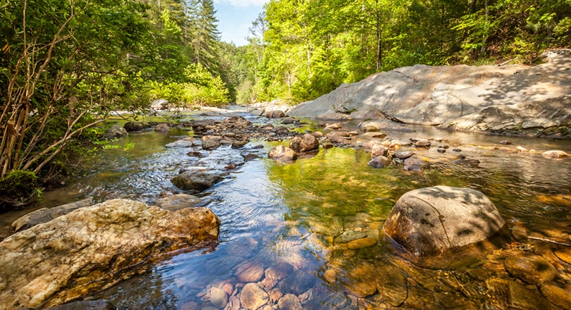 river and trees in chattahoochee national park