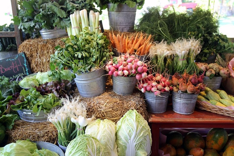 produce and plants at stuart's outdoor market