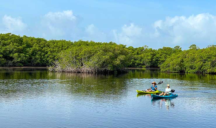 kayaking the st lucie river in martin county florida