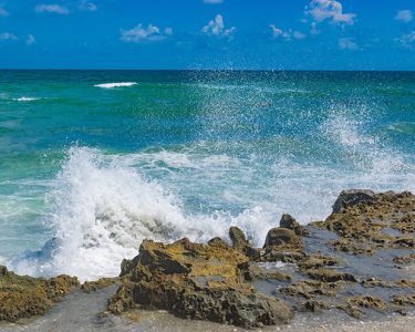 rocky shoreline in martin county