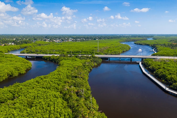 aerial of the st. lucie river paddling trail in martin county