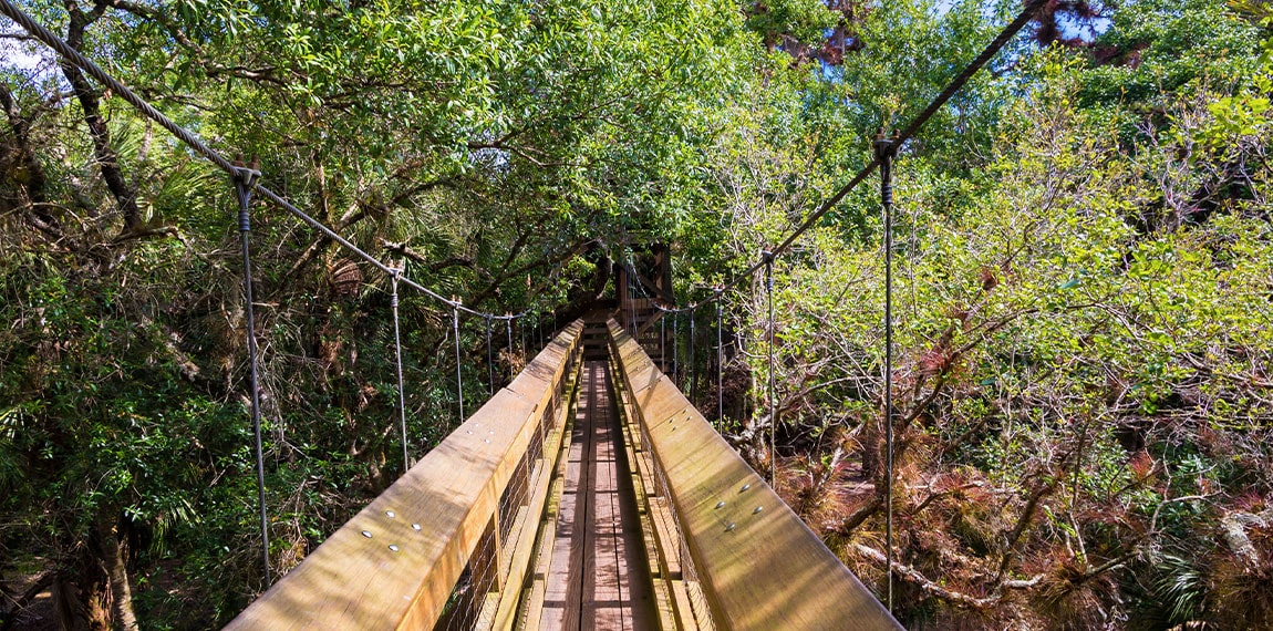 Myakka River State Park Bridge