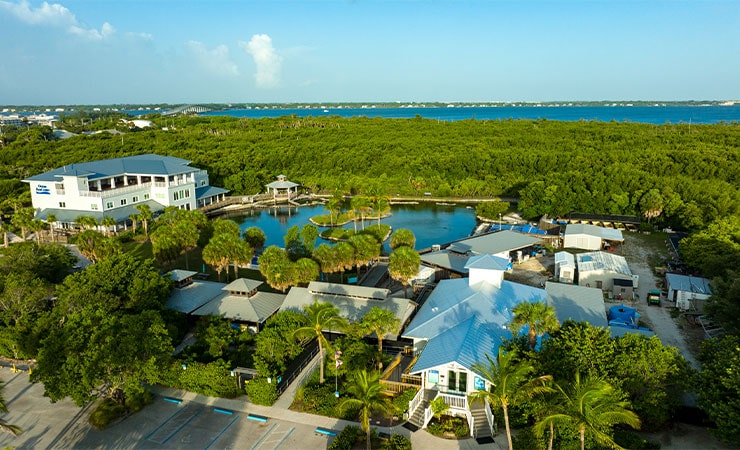 Florida Oceanographic Coastal Center aerial