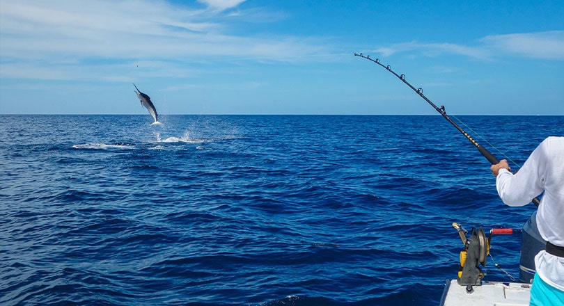 Angler's Guide to Martin County Waterways