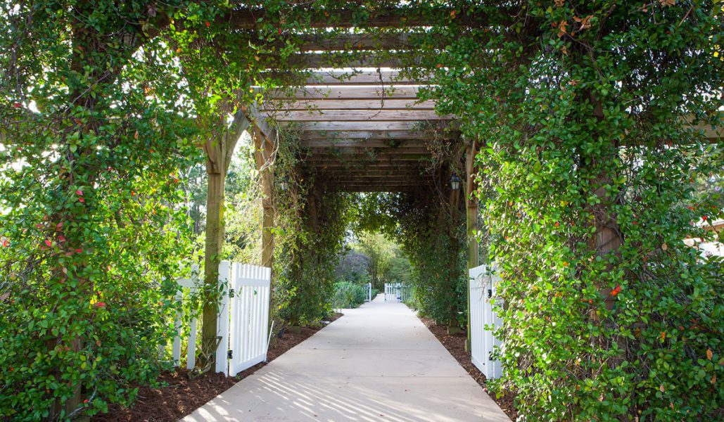 TREASURE COAST BOTANICAL GARDENS pathway