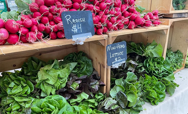 Local Farmers markets in Martin County Florida