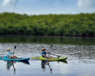 An Adventurer’s Guide to Jonathan Dickinson State Park