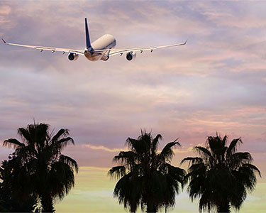 From Take Off to Tee Off – Where are Avid Golfers Landing in Florida?