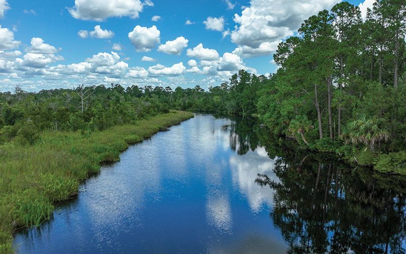 Northeast Florida State Park