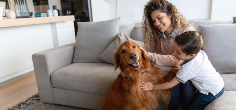 family playing with dog