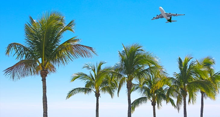 aerial shot of plane landing