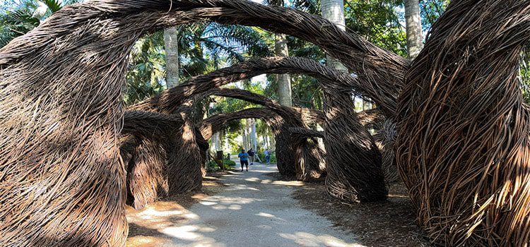 botanical garden