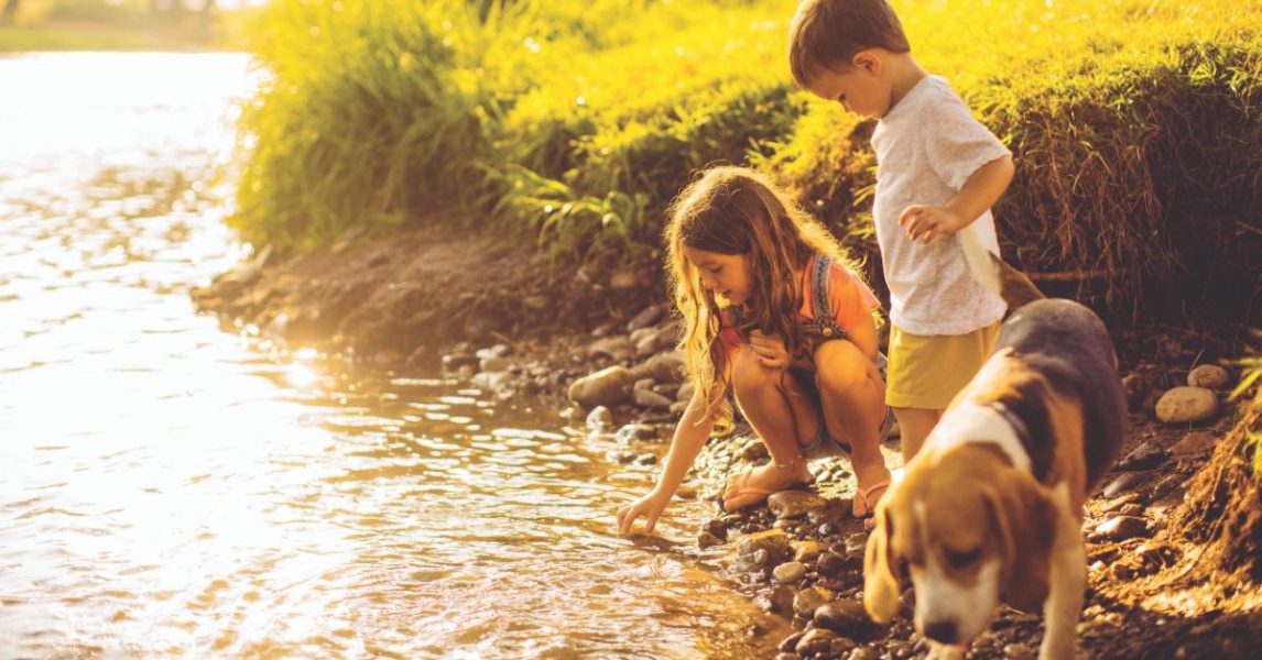 children playing in river