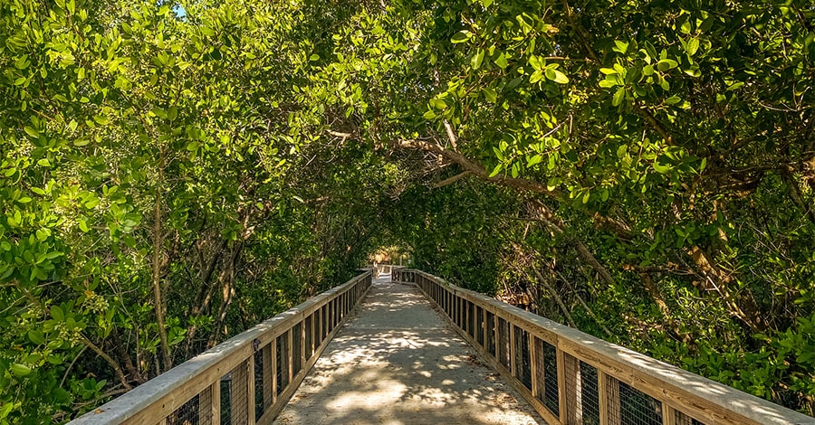 boardwalk towards beach