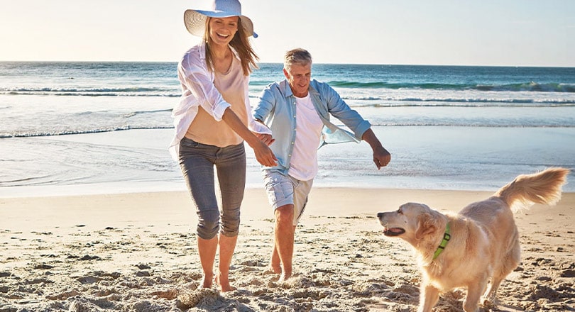 family playing with dog on beach