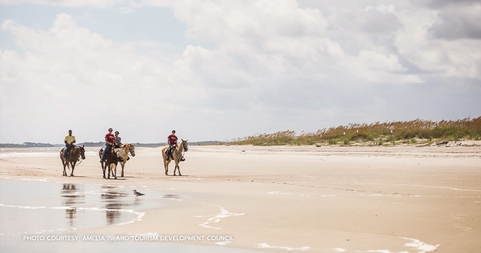 horse riding on beach