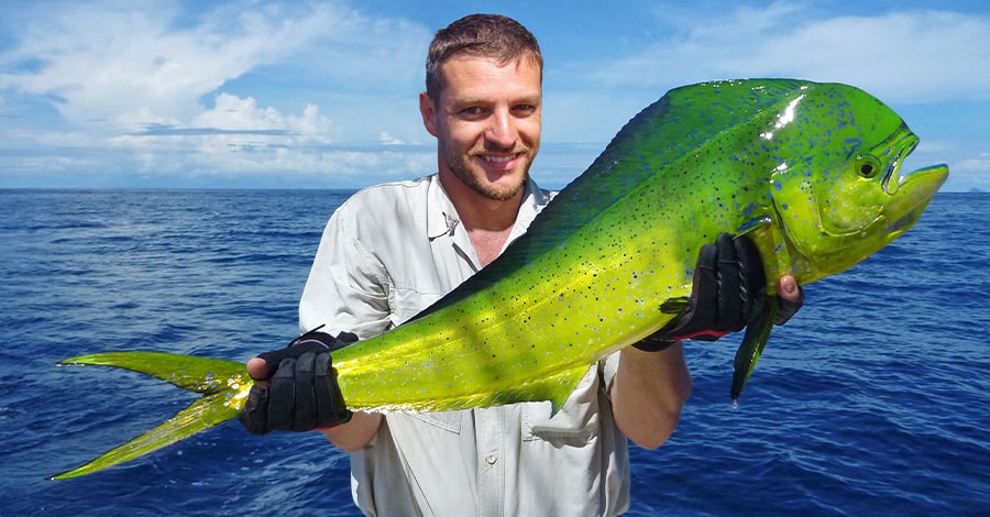Deep Sea Fishing for Mahi