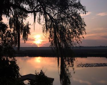 See How Florida’s Natural Side Won the Hearts of This Virginia Couple