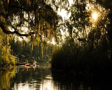 5 Natural Adventures You Won’t Forget Near Northeast Florida