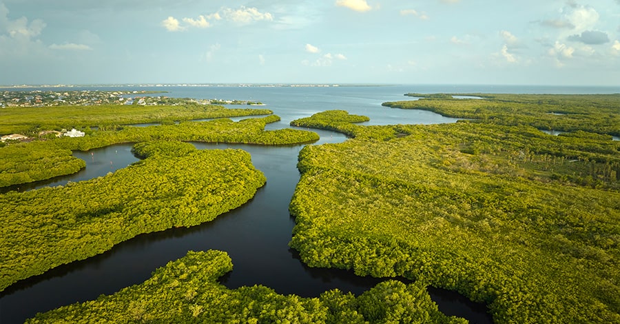 St Lucie River