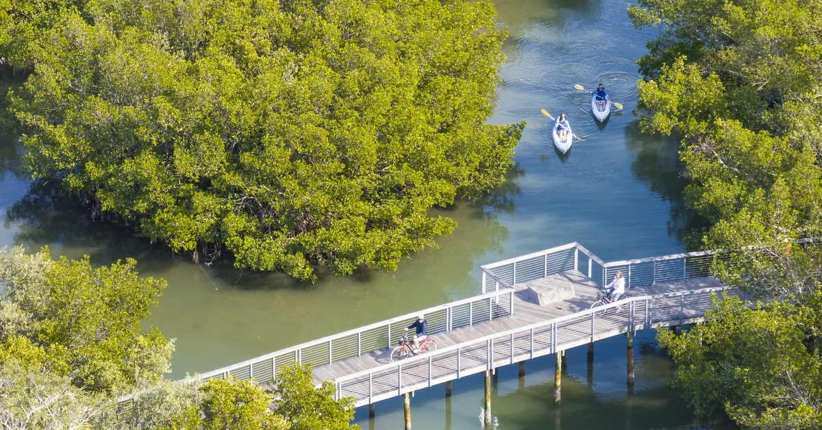 Bay Park Sarasota Lifestyle Kayak And Bridge