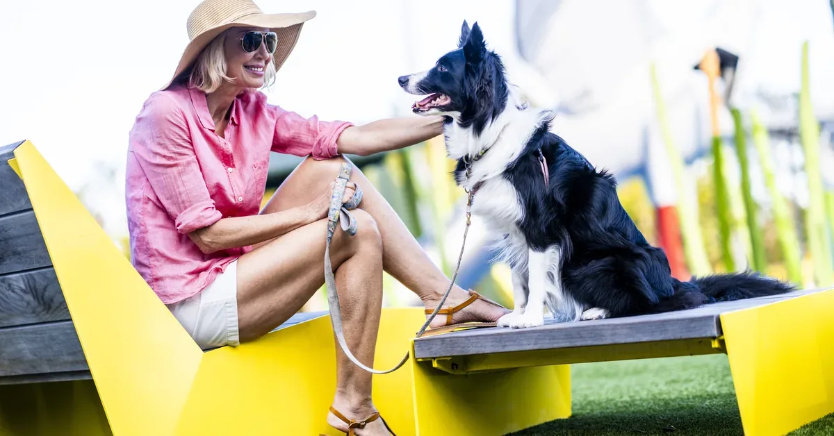 Bay Park Sarasota Dog Friendly