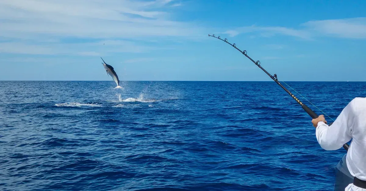 Sailfish Point Stuart Sports Fishing 1