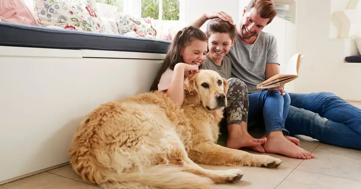 Wildcat Ranch Home Dog Read